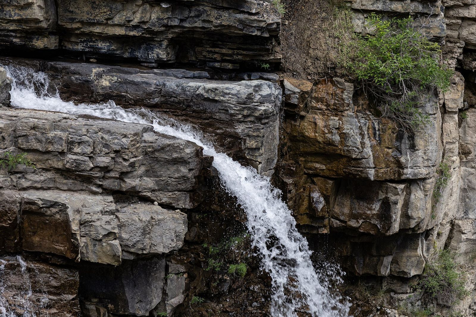 Johnston Canyon