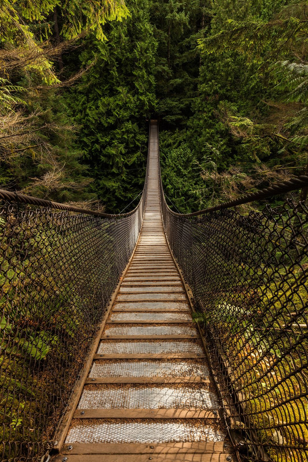 Lynn Canyon