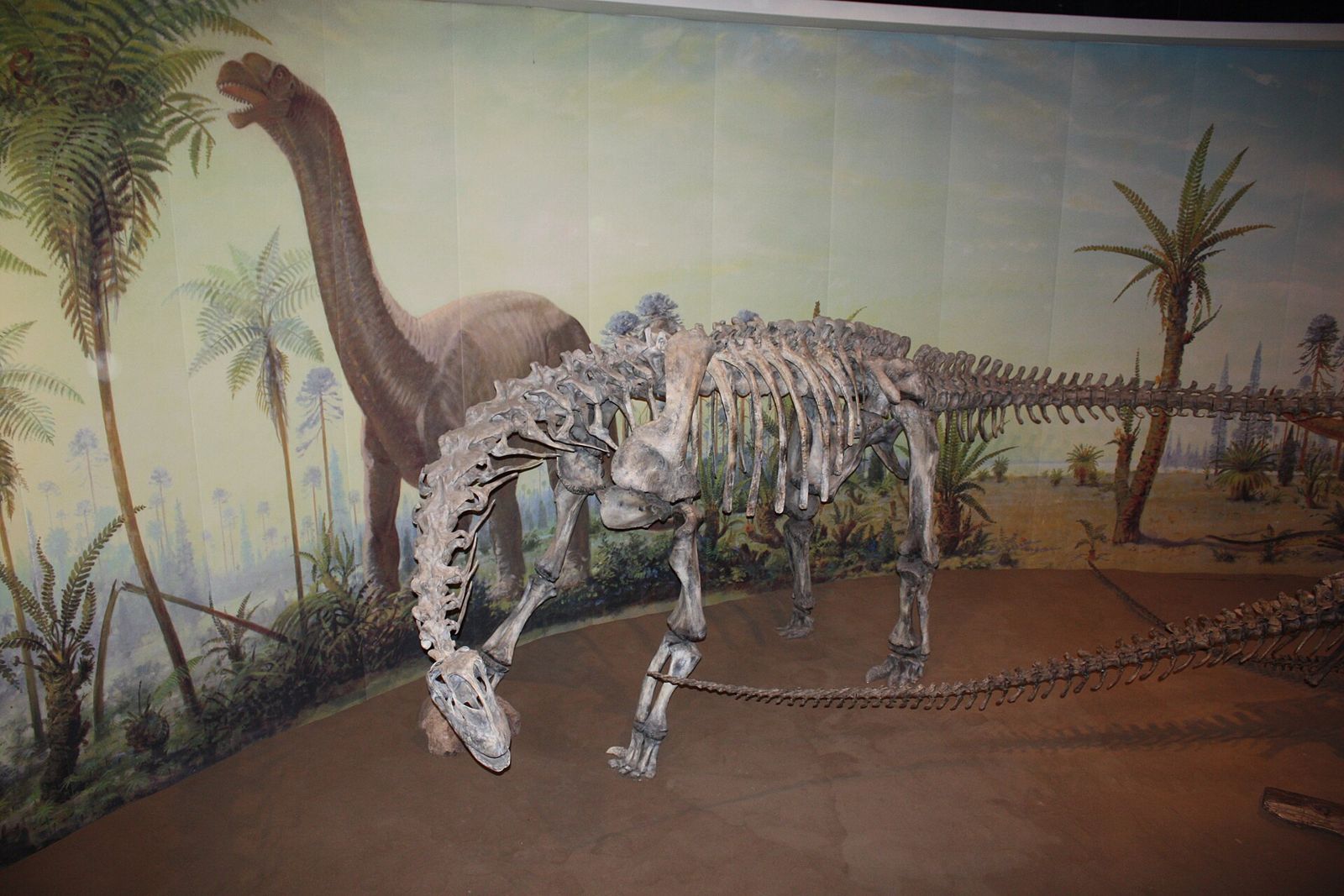 Royal Tyrrell Museum